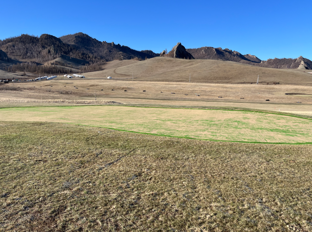 몽골 징기즈칸CC 퍼팅그린 & 프린지_SG50_KL35 시공사례 네번째 이미지