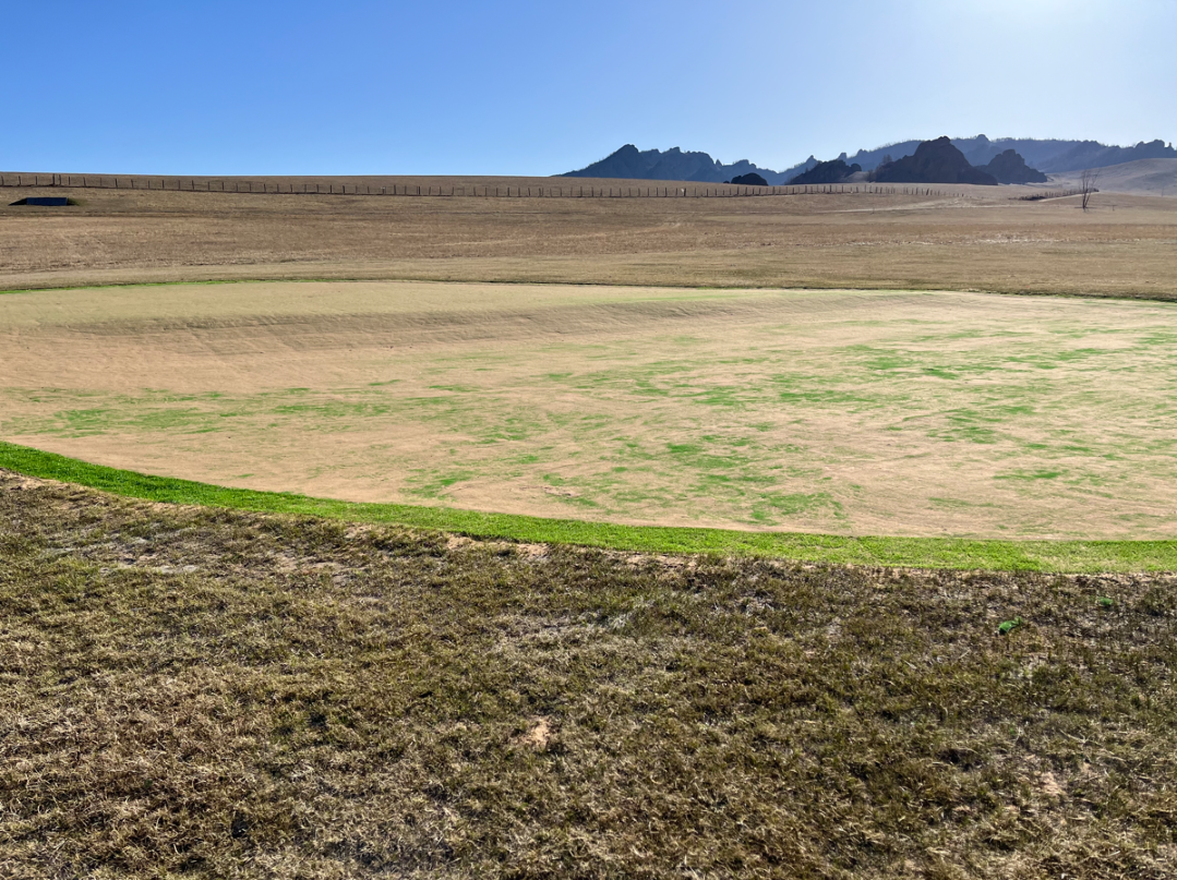 몽골 징기즈칸CC 퍼팅그린 & 프린지_SG50_KL35 시공사례 세번째 이미지