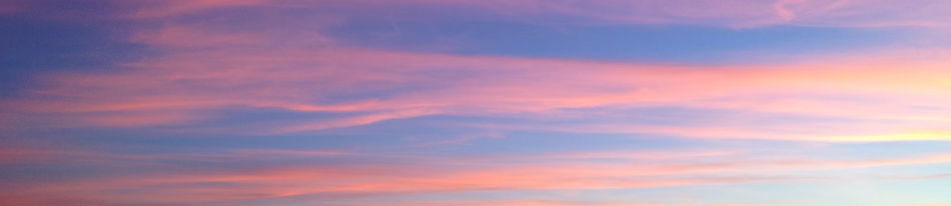 KOLON GLOTECH | عالي الجودة عملية الإنتاج التكنولوجيا: عشب صناعي صديق للبيئة