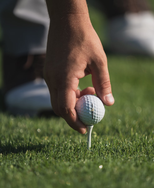 KOLON GLOTECH | ECO-FRIENDLY ARTIFICIAL TURF Artificial golf greens and artificial turf for yard