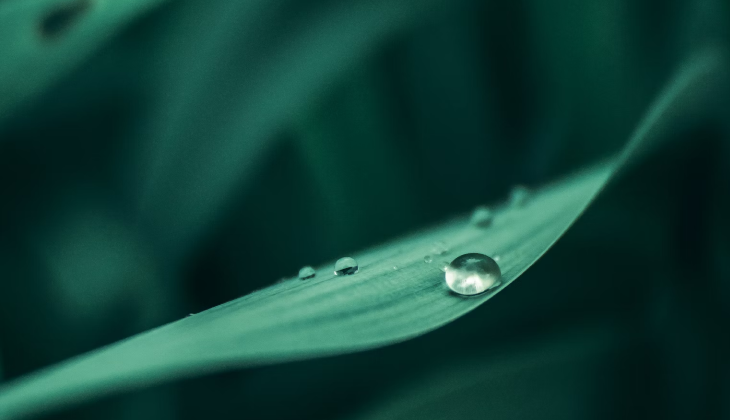 KOLON GLOTECH | eco-friendly artificial grass