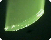 KOLON GLOTECH | KOLON GLOTECH 人工芝 紡糸技術 Curve 断面写真