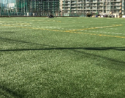 KOLON GLOTECH | KOLON GLOTECH 人工芝 紡糸技術 Ellipse 使用例（球場)