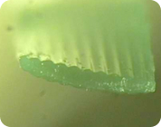 KOLON GLOTECH | KOLON GLOTECH 人工芝 紡糸技術 Multi-ball 断面写真