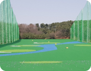 KOLON GLOTECH | KOLON GLOTECH 人工芝 紡糸技術 Multi-ball 使用例（球場)