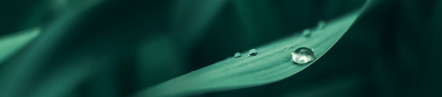 KOLON GLOTECH | 環境にやさしい高品質人工芝製造会社 TECHNOLOGY