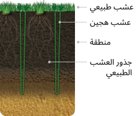 مقارنة عشبة الكولون الهجينة مع منتجات الشركات الأخرى