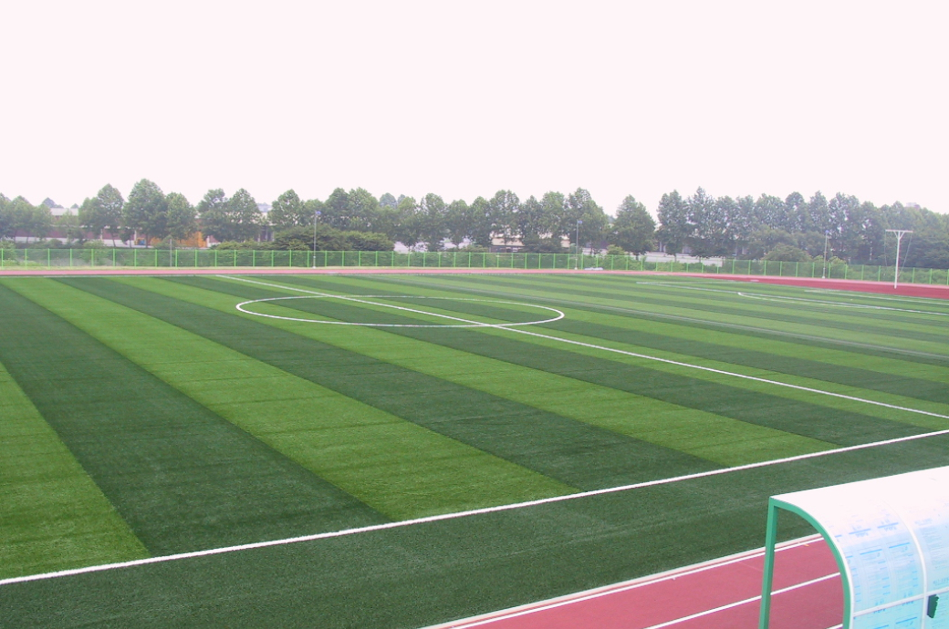 건국대학교 충주캠퍼스 인조잔디_LF35es 이미지