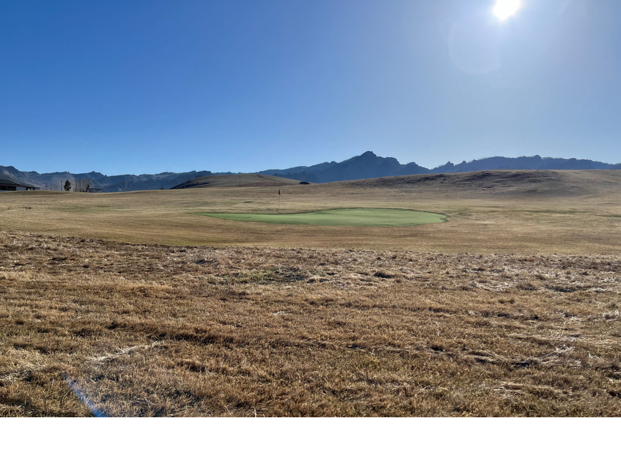 Mongolian Chinggiss Khan CC Putting Green & Fringe_SG50_KL35