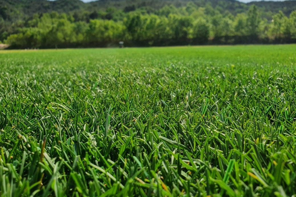 Korea Hapcheon Hanul Composite Turf Farm_HT45 이미지
