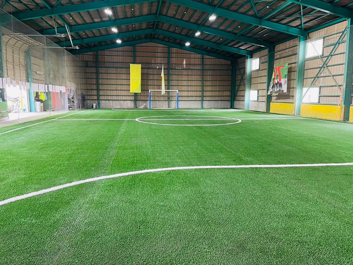 Japan Ganz-Futsal Court_TMX50