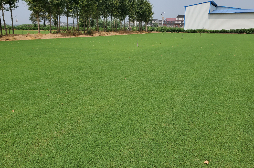 Beijing Composite Grass Farm_HT50, China 이미지